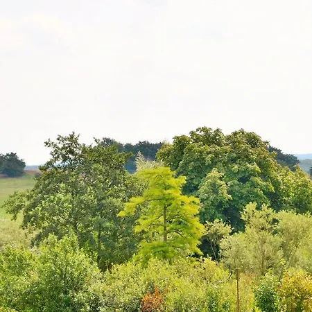 Jagdschloss Zu 5 아파트